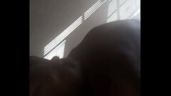 Except more bright and A mixture of spider  butterfly scorpion Thumb