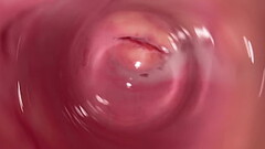 Internal camera inside tight creamy Vagina, Dick'_s POV Thumb