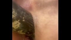 Fucking myself with a flashlight! Thumb