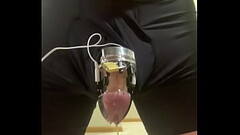 Estim cumshot in chastity Thumb