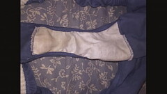 A Collection Of My Wife'_s Dirty Panties Thumb