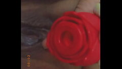 Clitt Litt vs Rose toy Thumb