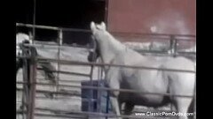 Serious Sex From The Seventies Rocks Hard Her Body Thumb