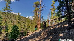 Busty blonde jumped and fucked in woods Thumb