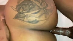 Night in Boston Thumb