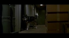 busty step-mom gets fucked by assimilated while Kurt Russel is away Thumb