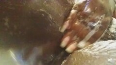 Getting Kitty clean for Daddy Thumb